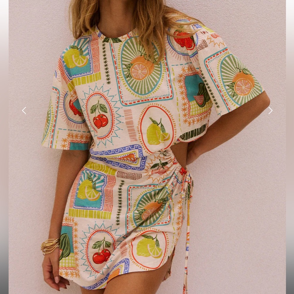 Seven Wonders Brizzie Mini Dress in Agata Print. Size Small